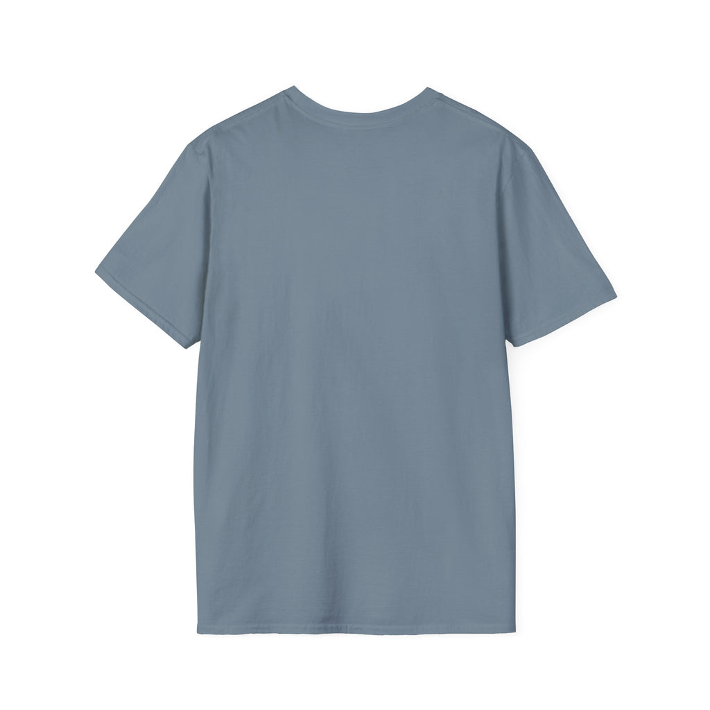 BenzieJo Michigan Fish Decoys Softstyle T-Shirt