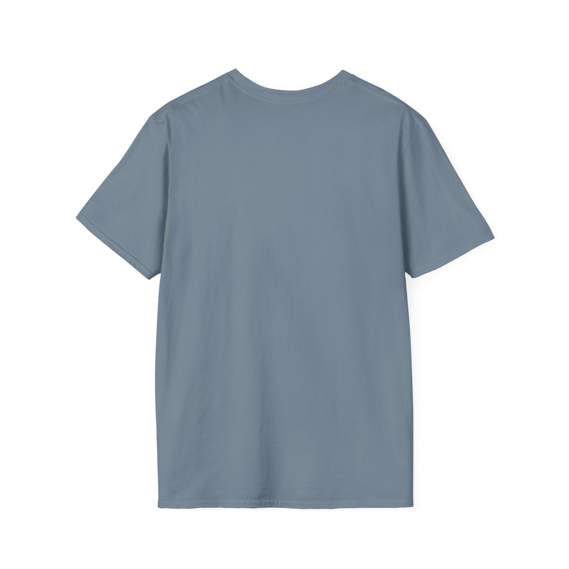 BenzieJo Michigan Fish Decoys Softstyle T-Shirt